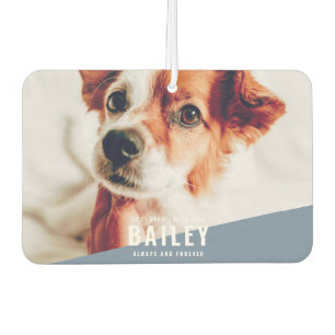 Always and Forever Pet Memorial Modern Photo Air Freshener