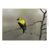 Always Believe In Yourself (Front Horizontal)