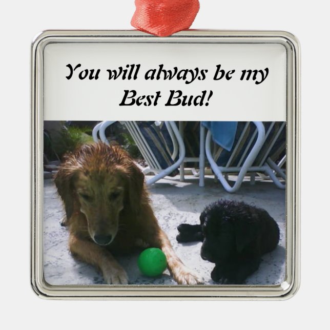 Always Best Buds Ornament (Front)