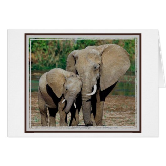 Always By Your Side Cards (Front Horizontal)