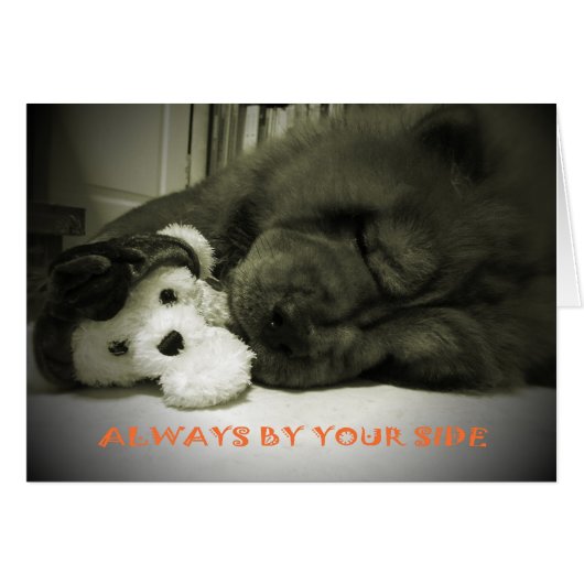 Always By Your Side Cards (Front Horizontal)