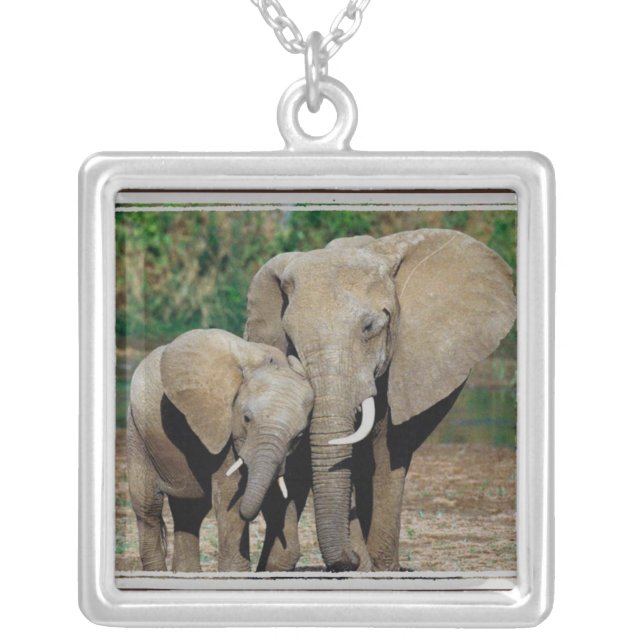 Always By Your Side Silver Plated Necklace (Front)