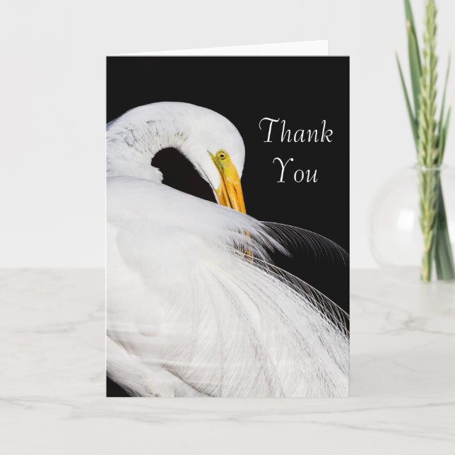 Always Egrets Thank you (Front)