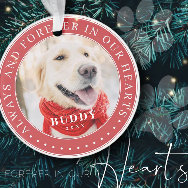 Always & Forever in our Hearts Memorial Pet Photo Ornament | Zazzle