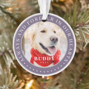 Always & Forever in our Hearts Memorial Pet Photo Ornament