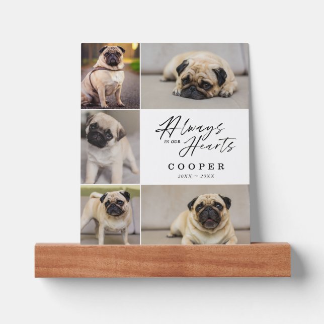 Always in Our Hearts 5 Photo Collage Pet Memorial Picture Ledge (Front)