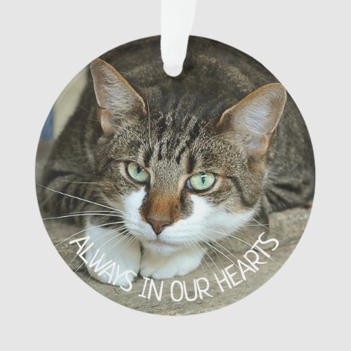 Always in our Hearts Cat Remembrance Ornament