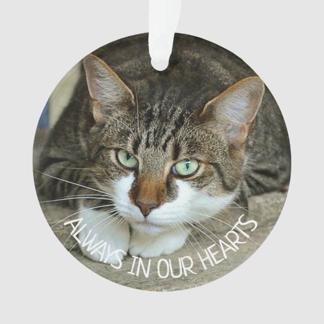 Always in our Hearts, Cat Remembrance Ornament (Front)