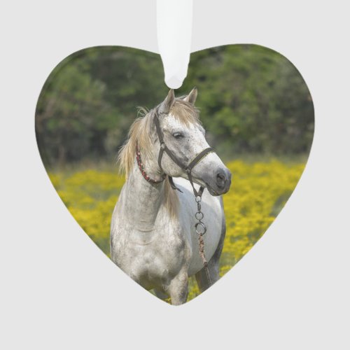 Always in our Hearts Horse Remembrance Ornament