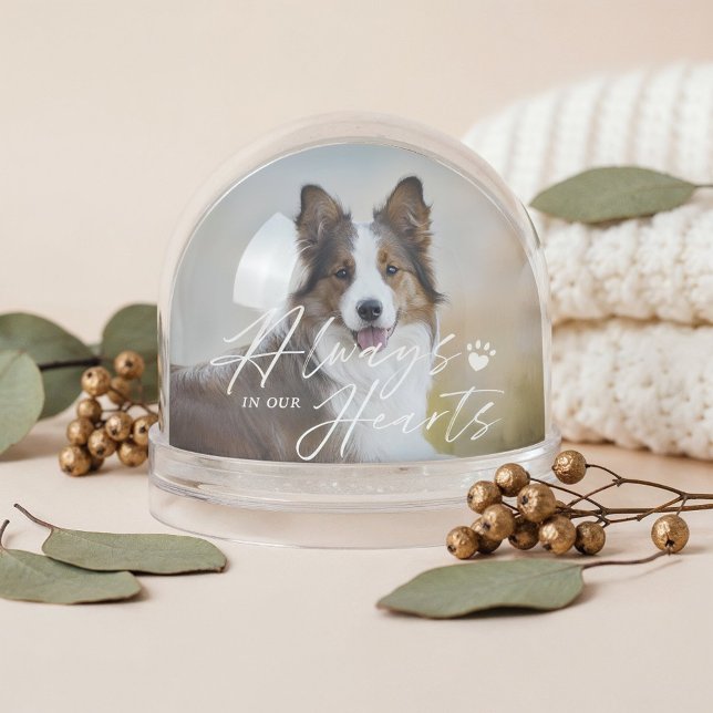 Always In Our Hearts Pet Photo Memorial Keepsake Snow Globe (Always In Our Hearts Pet Photo Memorial Keepsake Snow Globe (Front))