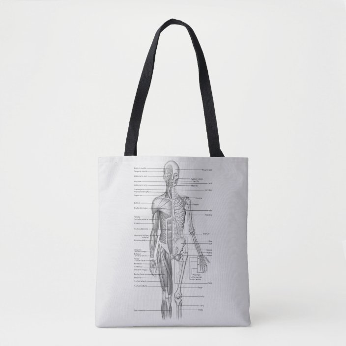Always Learning: Human Body Anatomy Chart Tote Bag | Zazzle.com