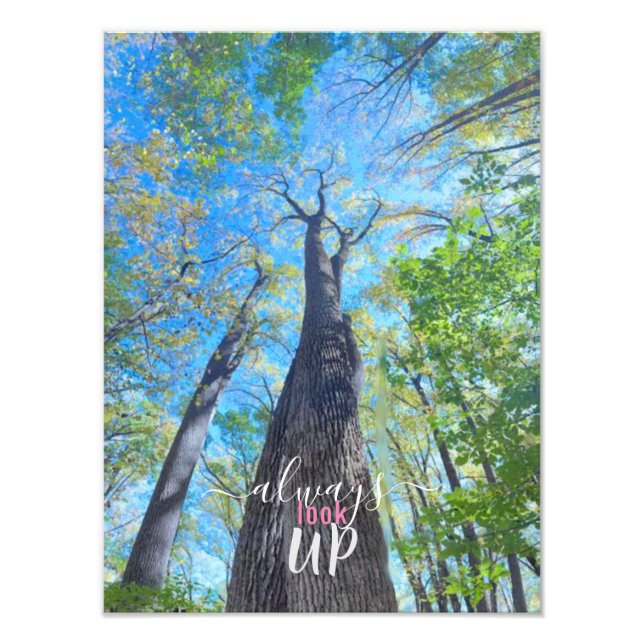Always Look Up autumn sky and leaves  Photo Print (Front)
