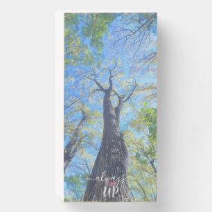 Always Look Up autumn sky and leaves Wooden Box Sign