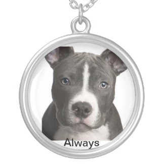 'Always' Pitbull lovers necklace