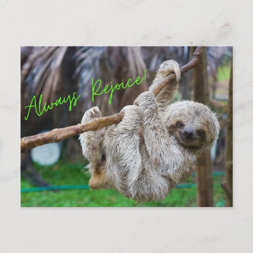 Always Rejoice hanging sloth postcard