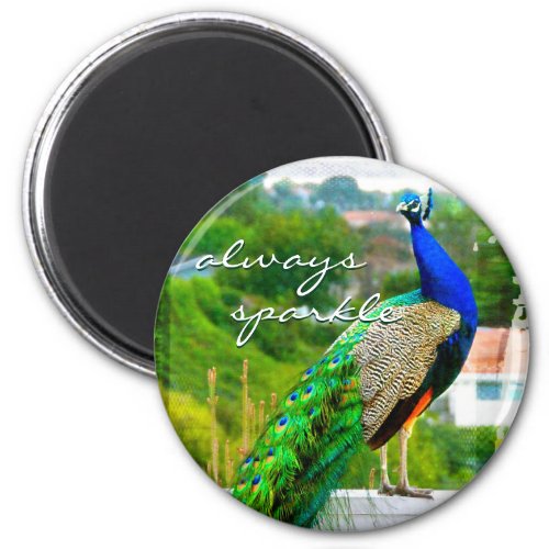 Always sparkle beautiful blue green peacock photo magnet