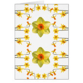 Always Spring (Front)