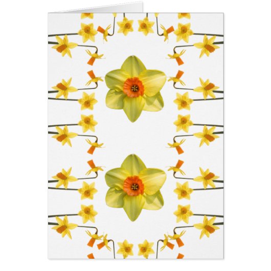 Always Spring (Front)