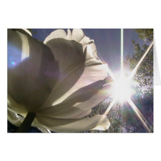 always toward the sunshine cards (Front Horizontal)