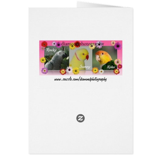 Alydar Thoroughbred 1979 (Back)