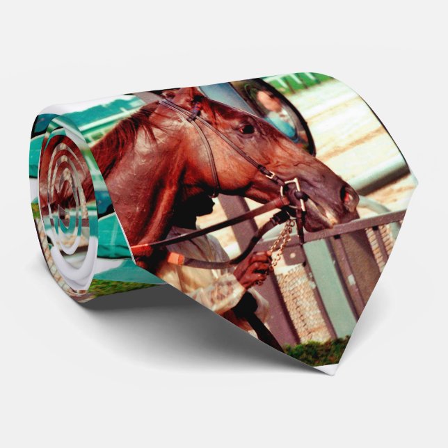 Alydar Thoroughbred 1979 Neck Tie (Rolled)