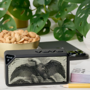 Am Eagle Bluetooth Speaker