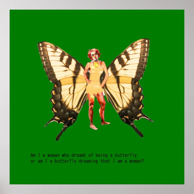  Am I a woman who dreamt of being a butterfly? Poster (Front)