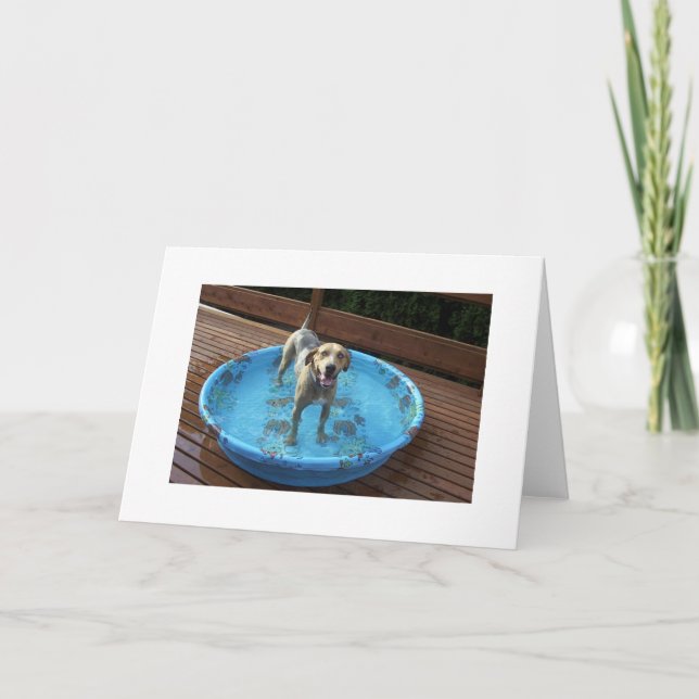 Am I Beautiful or What? Thank You Card (Front)