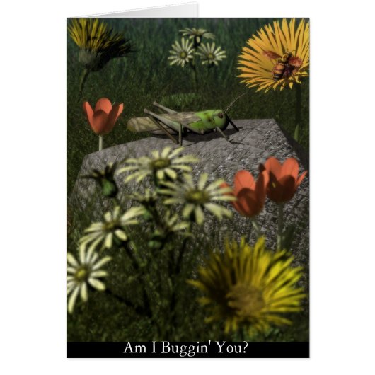 Am I Buggin' You? Cards (Front)