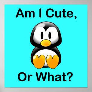 Am I Cute, Or What? Poster