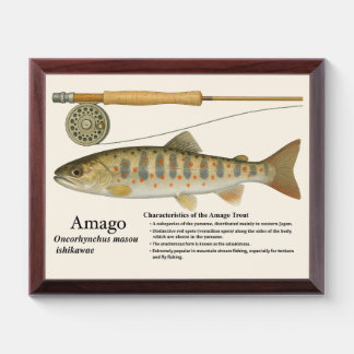 Amago Art Print – Wood Plaque Edition