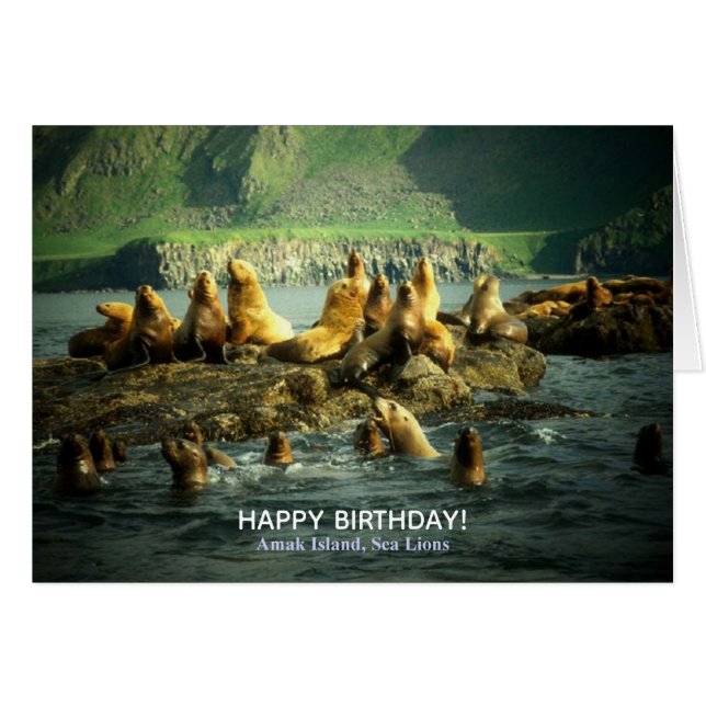 Amak Island Sea Lions Birthday Cards (Front Horizontal)