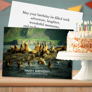 Amak Island Sea Lions Birthday Cards