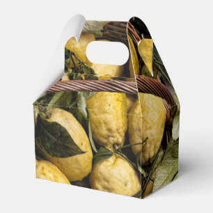 Amalfi Lemon Basket Favor Boxes