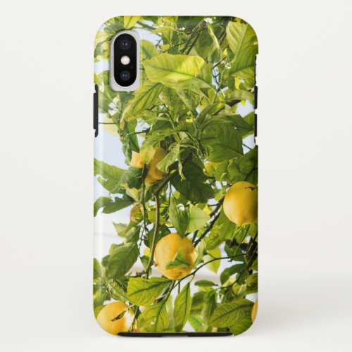 Amalfi Lemon Dream 2 travel wall art  iPhone X Case