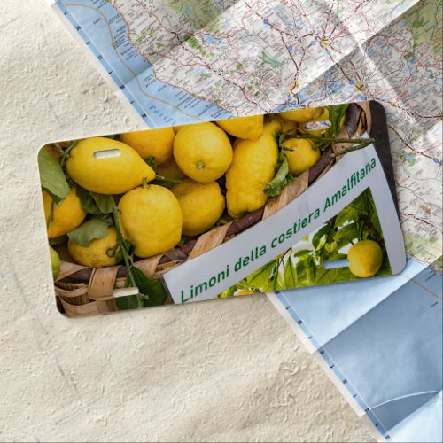 Amalfi Lemon Dream 3 travel wall art  License Plate