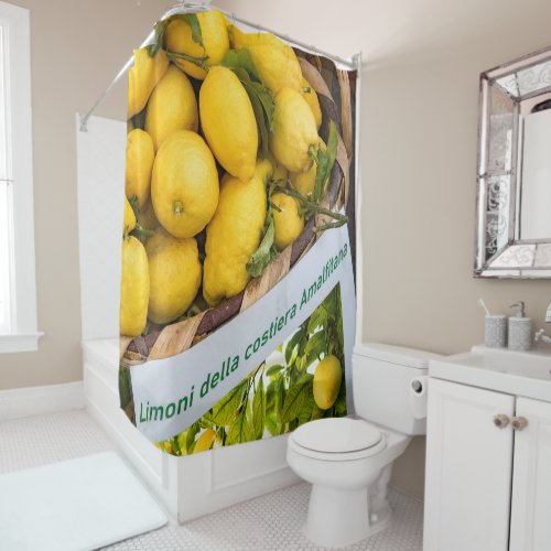 Amalfi Lemon Dream 3 travel wall art  Shower Curtain