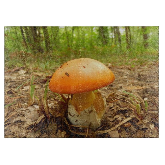 Amanita Caesarea Mushroom Glass Chopping Board (Front)