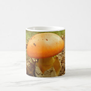 Amanita Caesarea Mushroom Mug