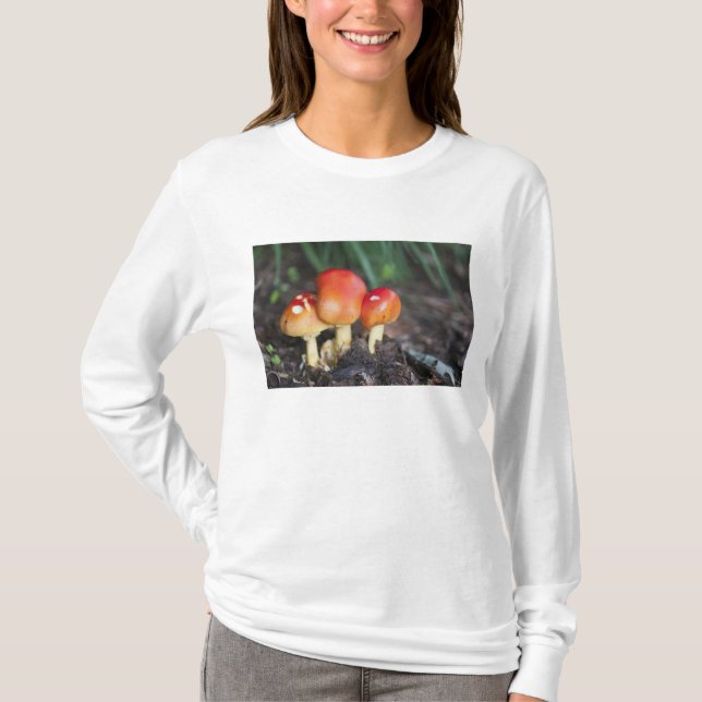 Amanita family mushroom T-Shirt (Front)