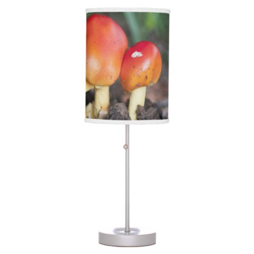 Amanita family mushroom table lamp
