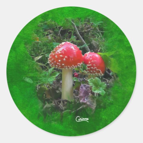 Amanita Muscaria _ Envelope Stickers