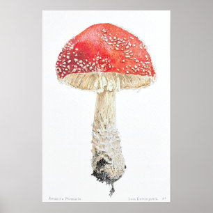 Amanita Muscaria, Gouache Painting Print. 16"x24" Poster