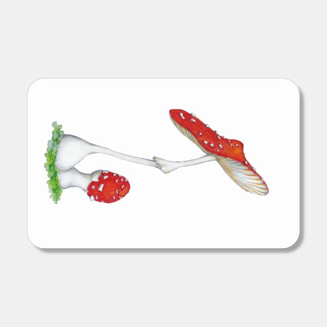 Amanita muscaria matchboxes (Front)