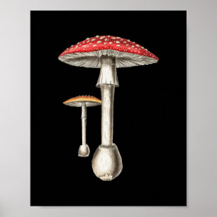 Amanita Muscaria Mushroom Botanical Nature Fungi Poster