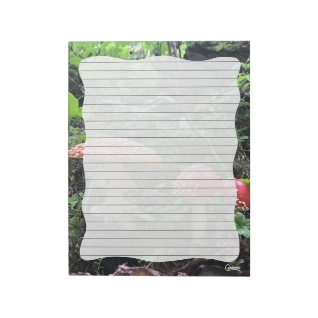 Amanita Muscaria Mushrooms - 11" x 8.5" Notepad (Rotated)