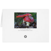 Amanita Mushrooms Blank Card (Back Horizontal)