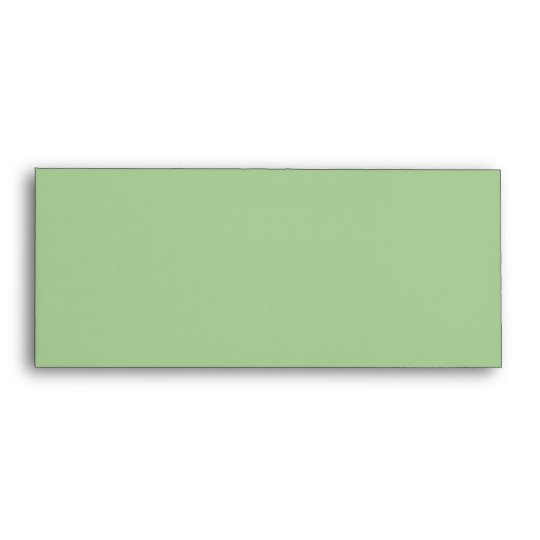 Amara Stripe pistachio #10 Invitation Envelope