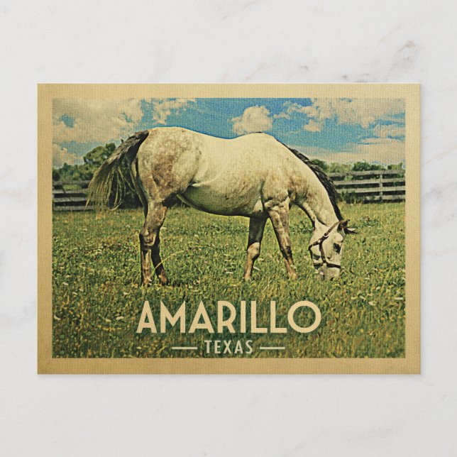 Amarillo Texas Horse Farm -Vintage Travel Postcard (Front)