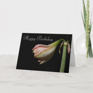 Amaryllis 53 B'Day ~ card